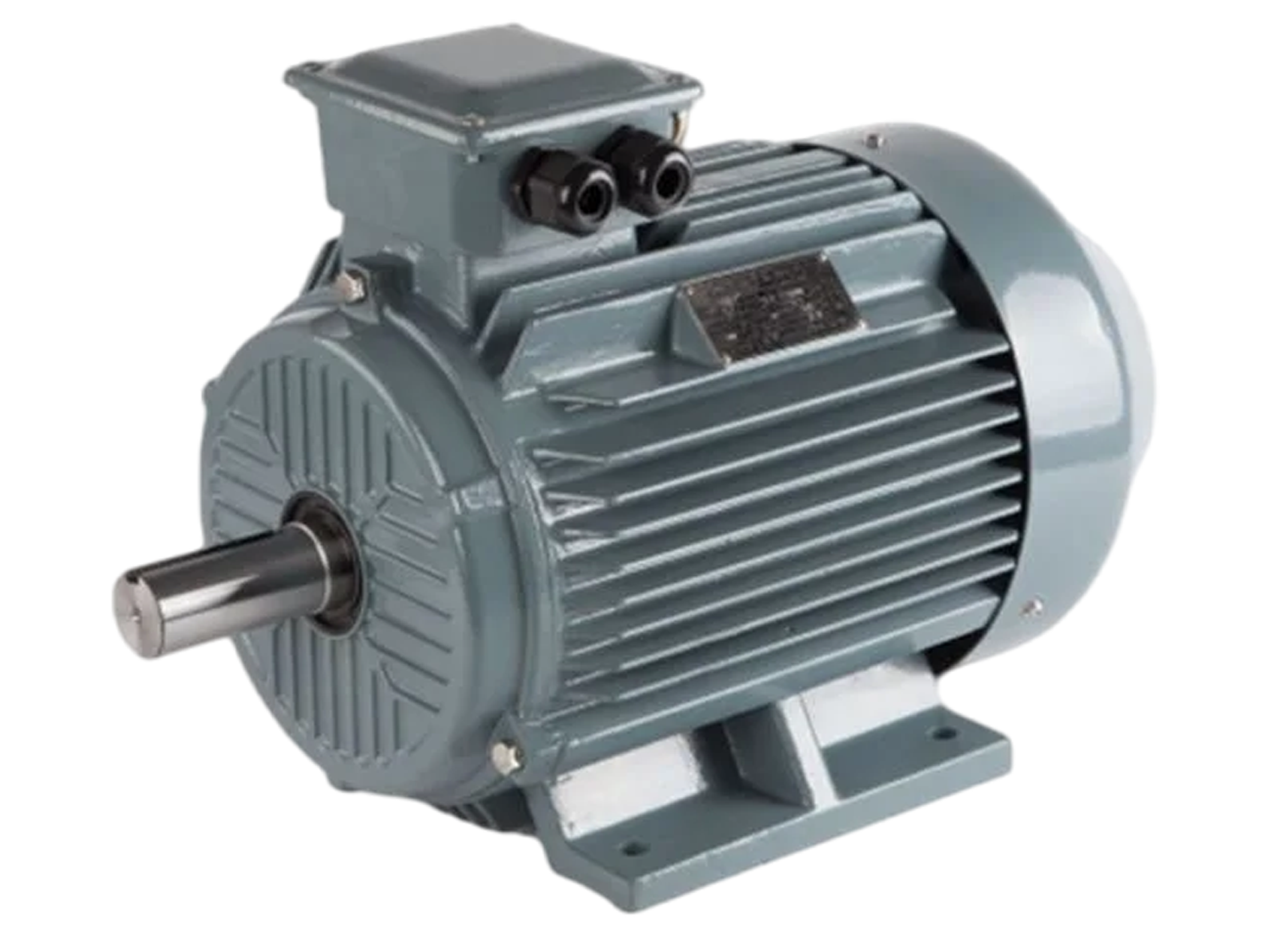 Industrial Motor